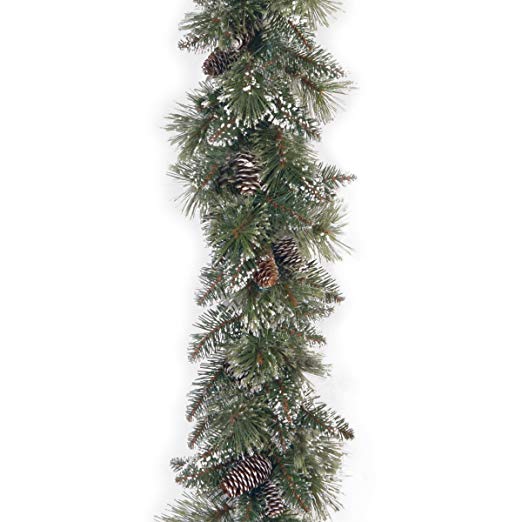 National Tree 6 Foot by 10 Inch Glittery Bristle Pine Garland with Cones (GB1-50-6A-1)