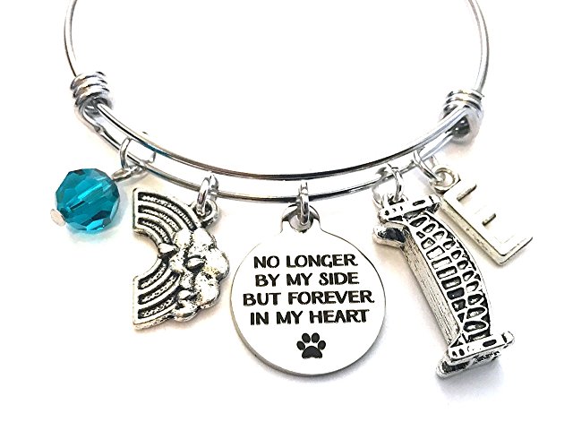 Rainbow Bridge / Pet memorial themed personalized bangle bracelet. Antique silver charms and a genuine Swarovski birthstone colored element.