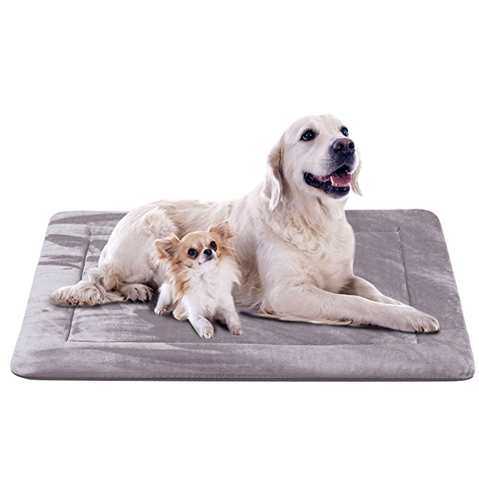 JoicyCo Dog Bed Large Mat Crate Pad Soft 28/35/42/47 in- 100% Machine Washable Anti-Slip Fleece Mattress Luxury Rich Color