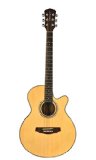 Fretlight 5 Acoustic Guitar with Built-in LED Lighted Learning System
