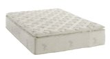 Signature Sleep 13 Independently Encased Coil Mattress Full