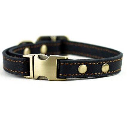 CHEDE Luxury Real Leather Padded Dog Collar