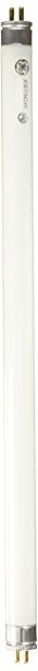 GE 15987 8-Watt 12-Inch T5 Fluorescent Light Bulb, Cool White