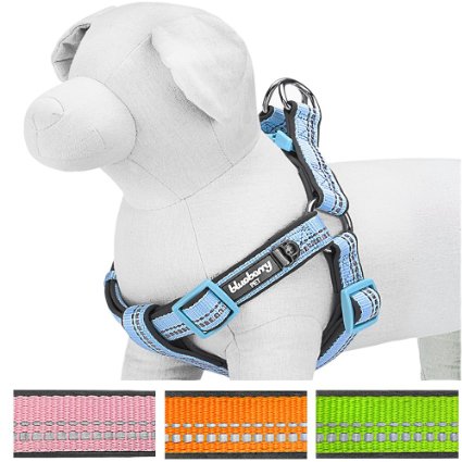 Blueberry Pet Step-in Harnesses 3M Reflective Summer No Pull Neoprene Padded Dog Harness in Pastel Colors, Matching Collar Available Separately