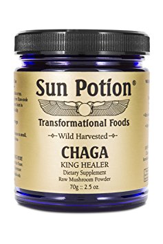 Sun Potion - Wild Harvested Chaga Powder - 2.5 oz.