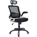 HampL Office Mid Back Black Mesh Executive and Managerial Computer Desk Swivel Office Chair with Headrest and Flexible Arm Rest