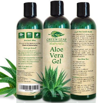Organic Aloe Vera Gel for Natural Skin Care - Cold Pressed from 100 Pure Aloe Vera - Thin Aloe Gel Formula for Skin Face Hair - Perfect for Sunburn Aftershave Hair Gel Moisturizer and more 12 oz