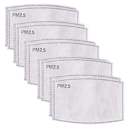 10 Pieces PM2.5 Activated Carbon Filter for N95 Mask