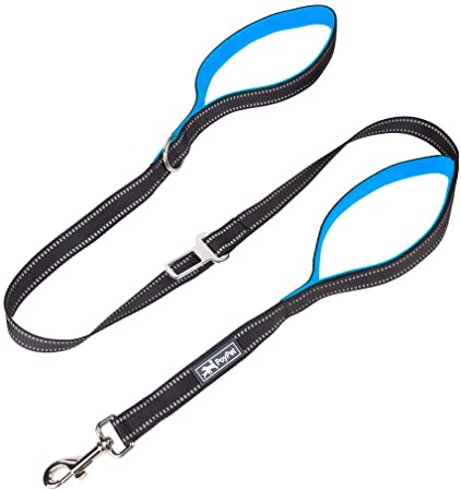 PoyPet 5 Feet Dog Leash - Reflective - 2 Cushioned Handles - Functional Car Seat Belt