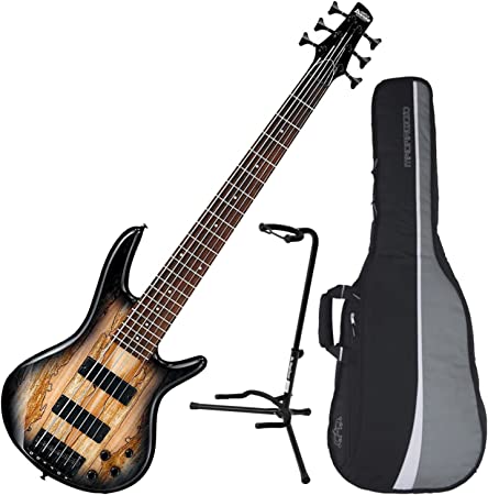 Ibanez GSR206SM 6-String Electric Bass (Natural Grey Burst) w/ Spalted Maple Top w/ Gig Bag and Stand