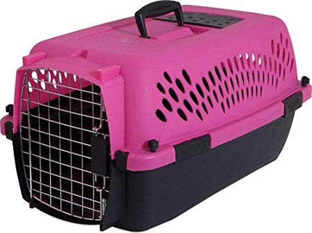 Aspen Pet Porter Heavy-Duty Pet Carrier