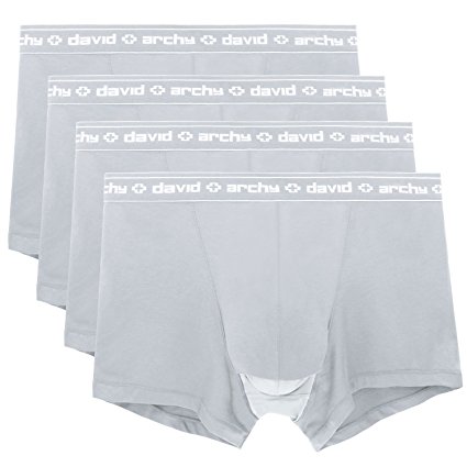David Archy Men's 4 Pack Micro Modal Separate Pouches Trunks