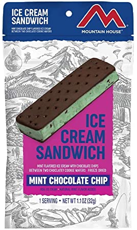 Mountain House Mint Chocolate Chip Ice Cream Sandwich | Freeze Dried Backpacking & Camping Food