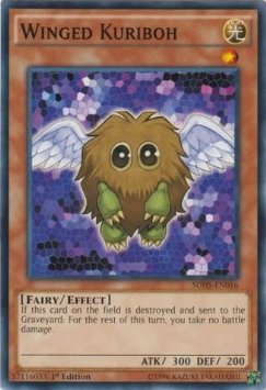Yu-Gi-Oh! - Winged Kuriboh (SDHS-EN016) - Structure Deck: HERO Strike - 1st Edition - Common
