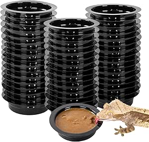 WACOOL Magnetic Reptile Ledge, Acrylic Gecko Feeding Ledge with 6PCS Cups, Reptile Food Water Feeder Dish for Geckos Iguana Chameleon Pets (Cups)