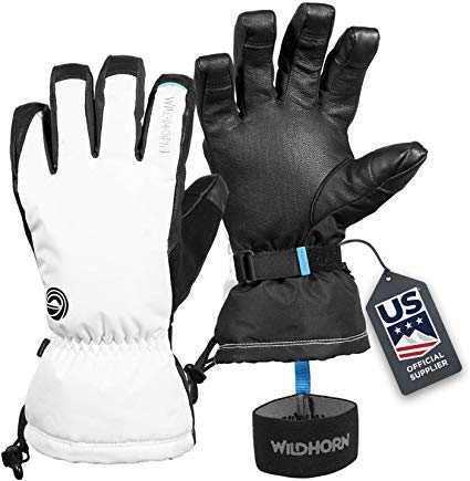 Wildhorn Tolcat Unisex Waterproof Leather Ski Gloves- Touchscreen Compatible