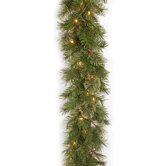 National Tree 9 Foot by 10 Inch Atlanta Spruce Garland with 50 Clear Lights (AT7-300-9A-1)