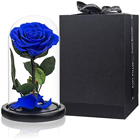 Preserved Rose Blue Real Rose in Glass Dome, Eternal Roses Never Withered Flower Gifts for Her, Valentine's Day, Mother's Day, Birthday, Christmas
