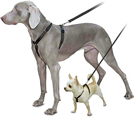 PetSafe Sure-Fit Harness, Adjustable Dog Harness from the Makers of the Easy Walk Harness