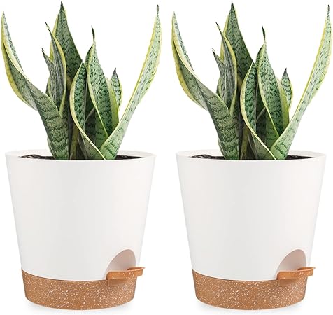 WERTYCITY Plant Pots Set, 8 inch Self Watering Plastic Planters with Drainage Holes and Removable Saucer for Indoor Plants, African Violet, Succulents, Flowers