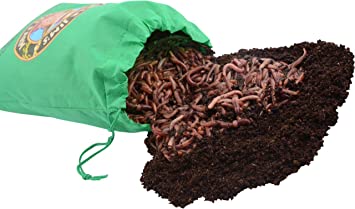 Uncle Jim's Worm Farm European Nightcrawlers Composting and Fishing Worms 1 Lb Pack
