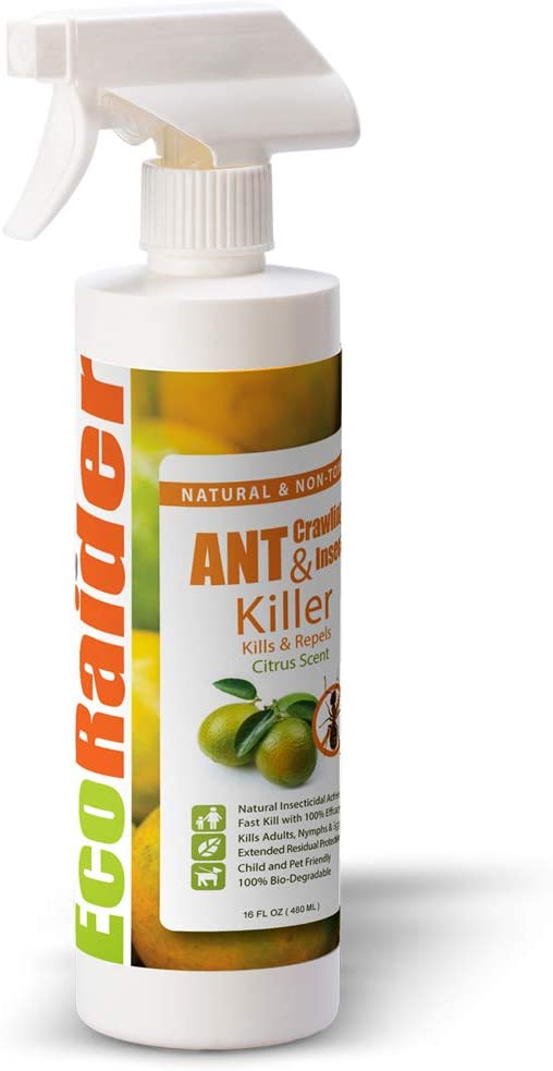 EcoRaider Ant Killer & Crawling Insect Killer (Citrus Scent) 16 OZ, Natural & Non-Toxic