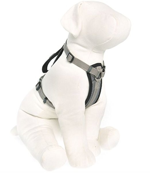 KONG Comfort Padded Chest Plate Dog Harness by Barker Brands Inc.