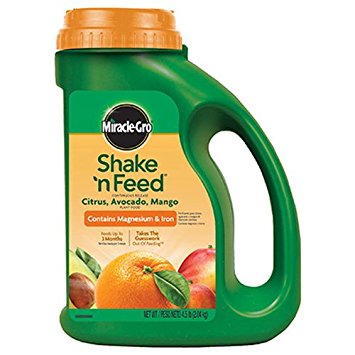 Miracle-Gro Shake 'n Feed Continuous Release: Citrus, Avocado, Mango Plant Food, 4.5 lbs