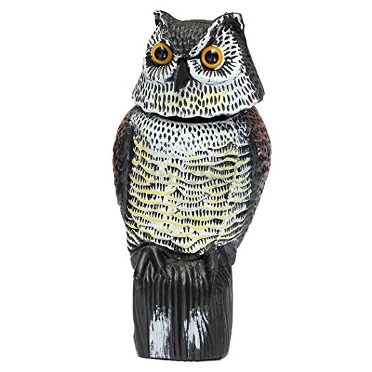 Owl Decoy - TOOGOO(R) Large Realistic Owl Decoy Rotating Head Weed Pest Control Crow Scarecrow