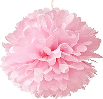 Hmxpls 10pcs Tissue Hanging Paper Pom-poms Flower Ball Wedding Party Outdoor Decoration, Premium Tissue Paper Pom Pom Flowers Craft Kit(Pink)