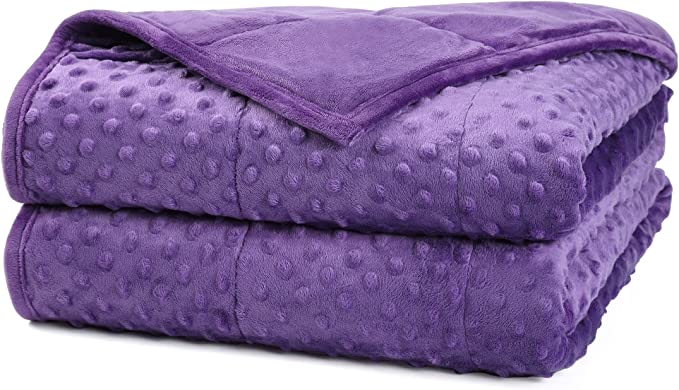 Alomidds Weighted Blanket (60"x80",15lbs Queen Size - Purple), Weighted Blankets for Adults and Kids, Cooling Breathable Soft and Comfort Minky, Heavy Blanket Microfiber Material with Glass Beads