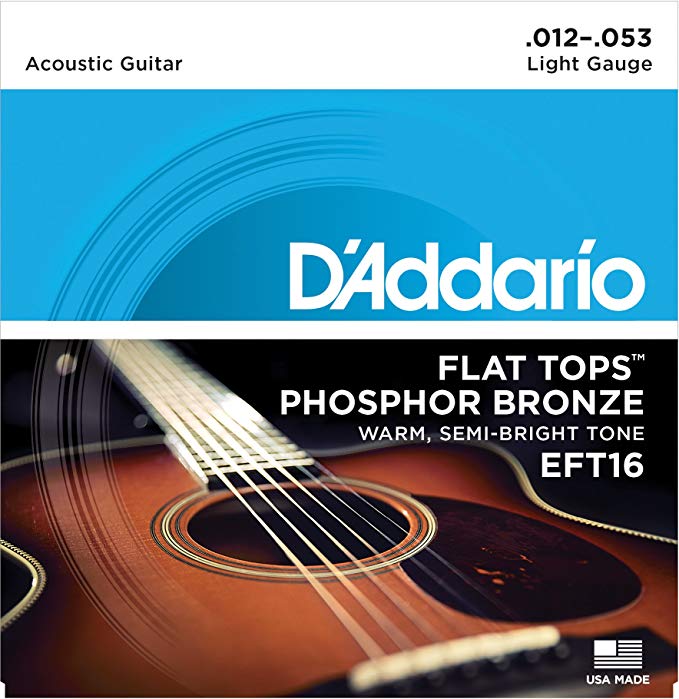 D'Addario EFT16 Flat Tops Phosphor Bronze Acoustic Guitar Strings, Light, 12-53