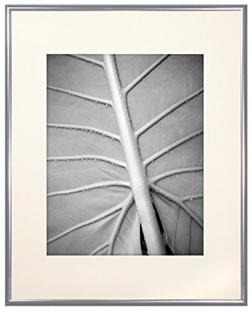 MCS INDUSTRIES 44601 16X20 GALLERY ALUMINUM SILVER PICTURE FRAME