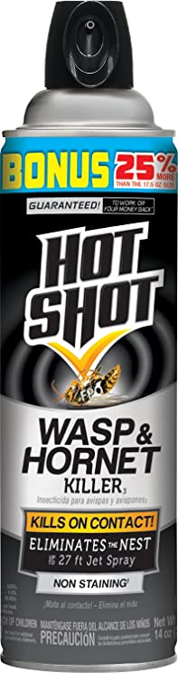 Hot Shot Wasp & Hornet Killer, Aerosol, 17.5-Ounce, 12-Pack