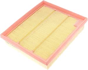 Motorcraft Air Filter