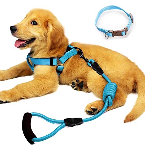 YUSENPET Dog Leash Harness Set with Collar & Heavy Duty Denim Dog Leash Collar for Small, Medium and Large Dog, Perfect for Dog Daily Training Walking Running
