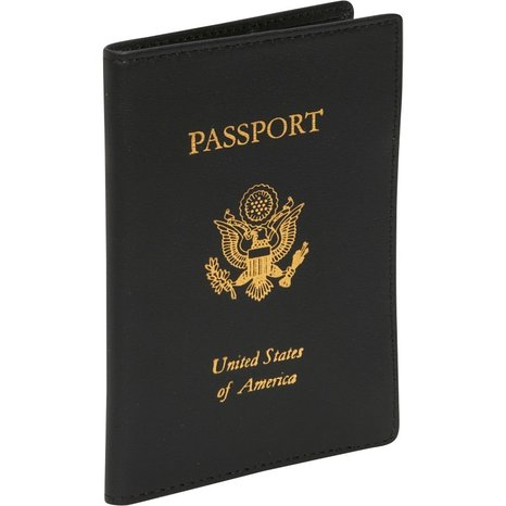 Royce Foil Stamped Leather RFID - blocking Passport Jacket