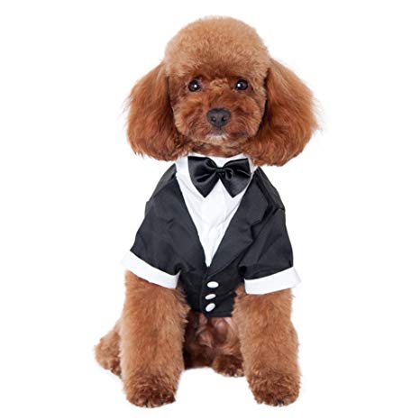 Kuoser Dog Shirt Puppy Pet Small Dog Clothes, Stylish Suit Bow Tie Costume, Wedding Shirt Formal Tuxedo with Black Tie, Dog Prince Wedding Bow Tie Suit
