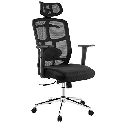 TOPSKY Mesh Computer Office Chair Ergonomic Design Chair Skeletal Back Synchronous Mechanism (Black_New)