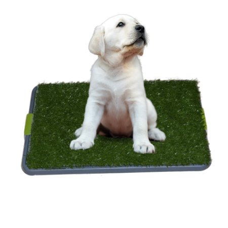 Sonnyridge Easy Dog Potty Training - Made with Synthetic Grass - 3 Layered System - Pan Tray - Great for Dogs Stuck in the House All Day - Indoor Use. It's Like a Dog Litter Box or a Dog Indoor Potty