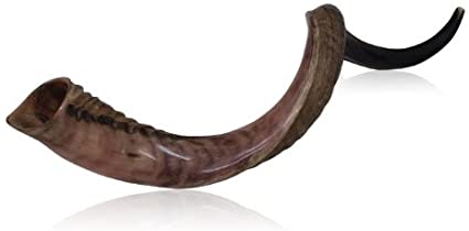 Extra Large Half Polished Half Natural Kudu Horn Shofar
