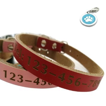 Namsan Real Leather Personalized Dog Collar Pet Name and Phone Number with A Blue Paw Dog Tag