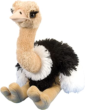 Wild Republic Ostrich Plush, Stuffed Animal, Plush Toy, Gifts for Kids, Cuddlekins 12 Inches