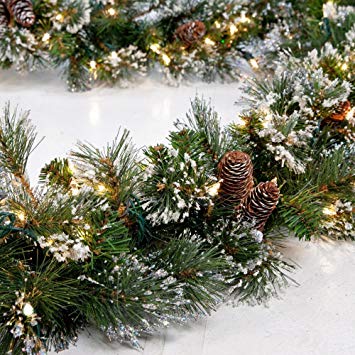 National Tree Company Glittery Pine Pre-lit 9 ft. Garland