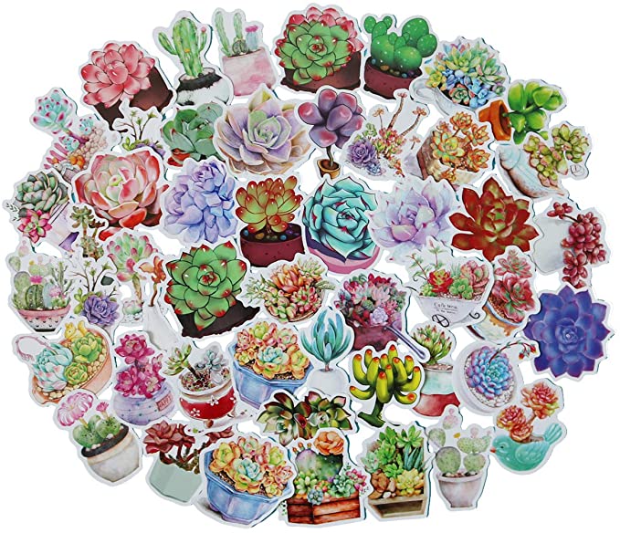 50PCS Cute Cactus and Succulent Plants Stickers for Scrapbook Album Planner Laptop Water Bottles, Fridge, Daily Planner, Junk Bullet Journal