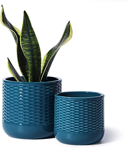 Ceramic Pots - POTEY 6 and 5 Inch Indoor Plant Pots with Drainage Hole for Plants - 812, Set of 2, Blue