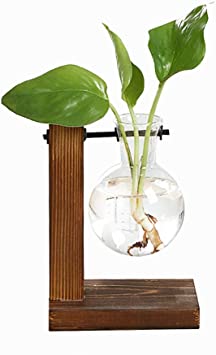 Eyourlife Water Planting Glass Vase, Plant Terrarium Transparent Vase with Wooden Stand, Hydroponic Glass Vase with Wooden Frame for Coffee Shop Room Decor