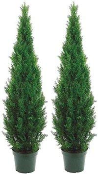 Two 5 Foot Outdoor Artificial Cedar Topiary Trees Uv Rated Potted Plants One Peace Construction