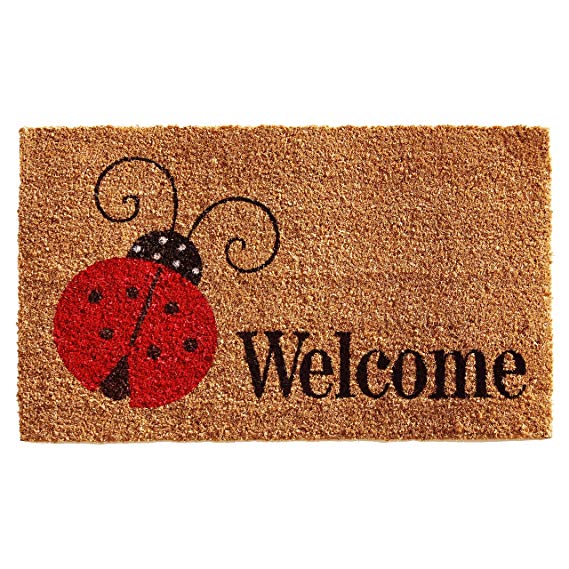 Calloway Mills 121432436 Ladybug Welcome Doormat 24" x 36", Multicolor