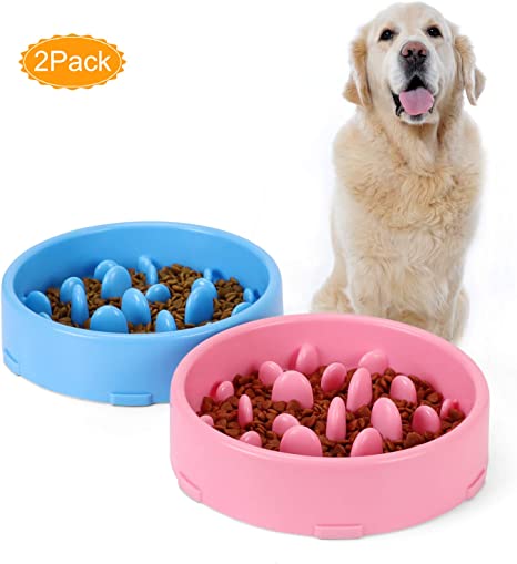 JASGOOD Dog Feeder Slow Eating Pet Bowl Eco-Friendly Durable Non-Toxic Preventing Choking Healthy Design Bowl for Dog Pet